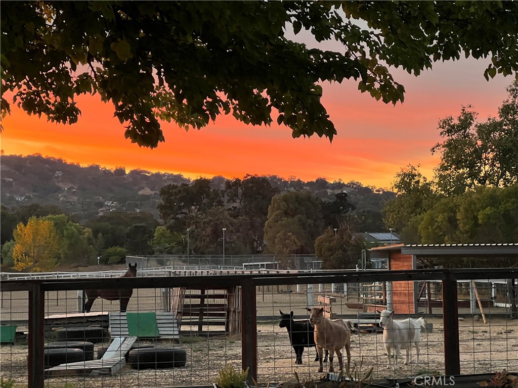 8445 Los Osos Road