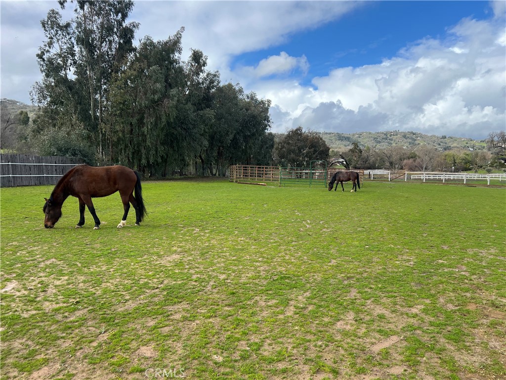 8445 Los Osos Road