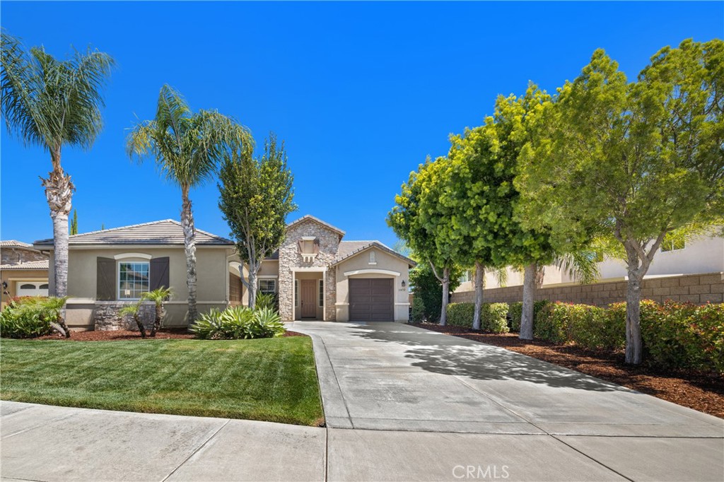 31052 Pinon Pine
