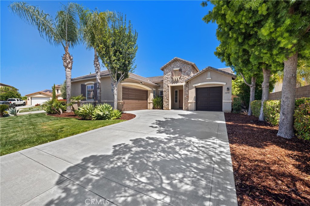 31052 Pinon Pine