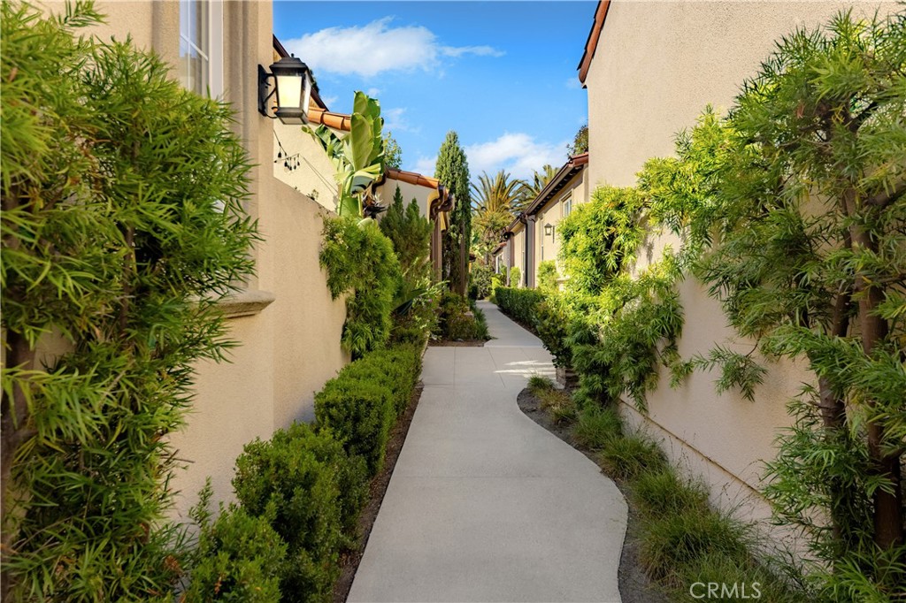 77 Canyoncrest