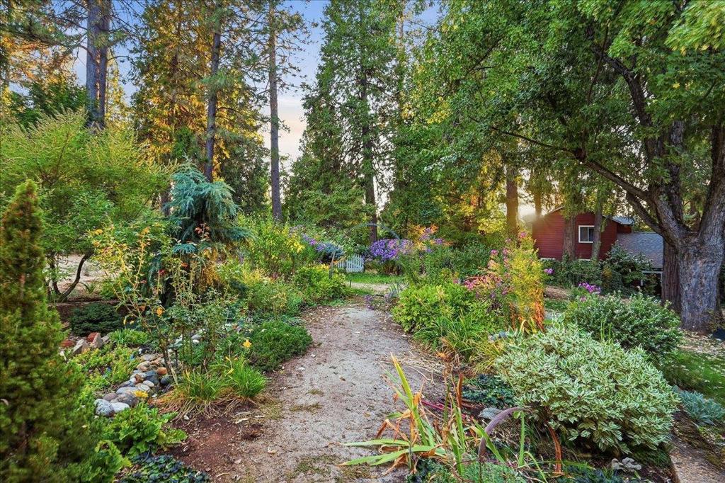 11077 Squirrel Creek Road