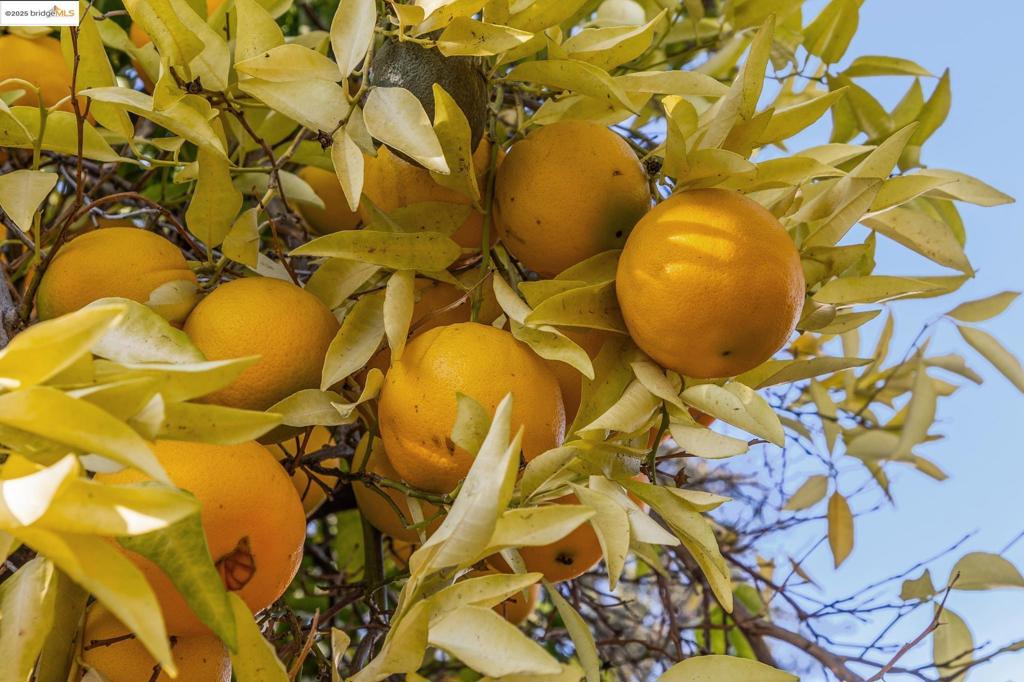 GREGORY GARDENS - Residential