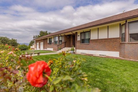 Photo of 2999 Valley Meadow Drive, Oak View, CA 93022 (MLS # V1-37356)