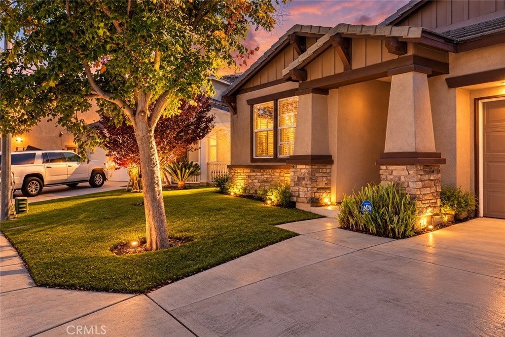 24209 Chestnut Oak