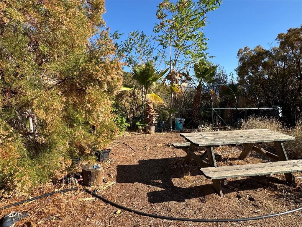 High (Way up on top) on a Hill in Anza this 10.53 acres has the ultimate of views. Backed by a mountain on Southern side and sweeping around this
parcel is PRIVATE beyond private. There is a 150 GPM well and power to well. Gated entrance. Pads, storage tanks, palm trees.
Quiet starry evenings , NO smog or traffic, nothing but the sounds of the local animals.
Do you want privacy? or get away from the city? Or just smell the clean air then you have found the place.
Views are amazing, because you are on the top of world. Soft breezes makes this getaway
a perfect weekend retreat. Temperatures in our area leaves for many opportunities for all kinds of fruit trees, nut trees and gardens.
Grapes love our climate and elevation. Living in the country is a unique blessing.