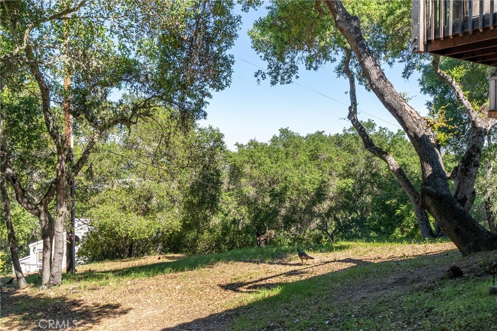 Atascadero, California, 93422, United States, 3 Bedrooms Bedrooms, ,3 BathroomsBathrooms,Residential,Active,2030092