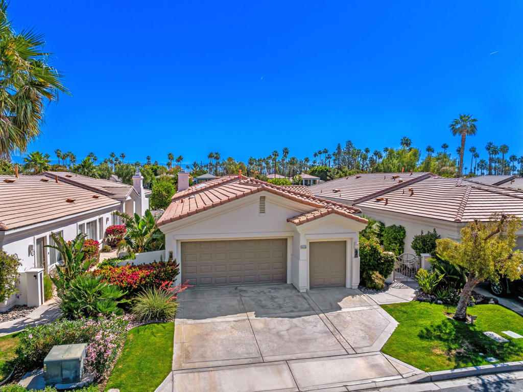 55336 Tanglewood