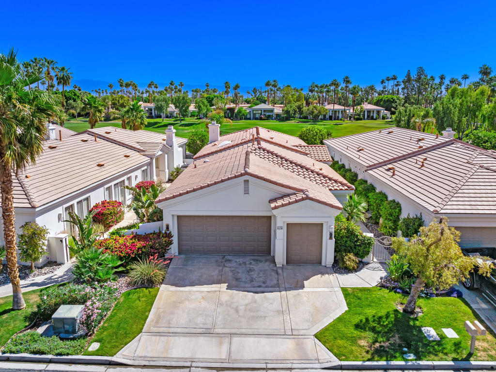 55336 Tanglewood