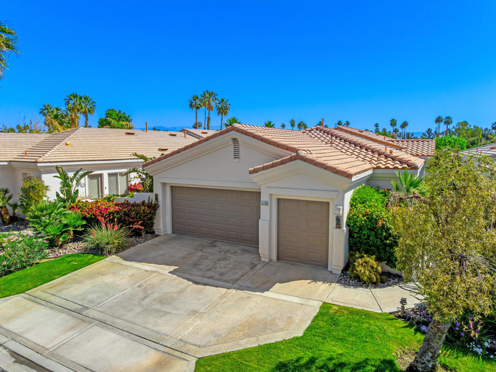 55336 Tanglewood