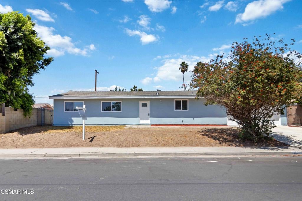 1447 Alexander Street
