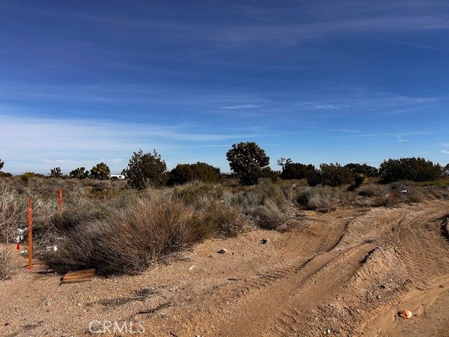 0 Phelan APN# 3065161030000 Road
