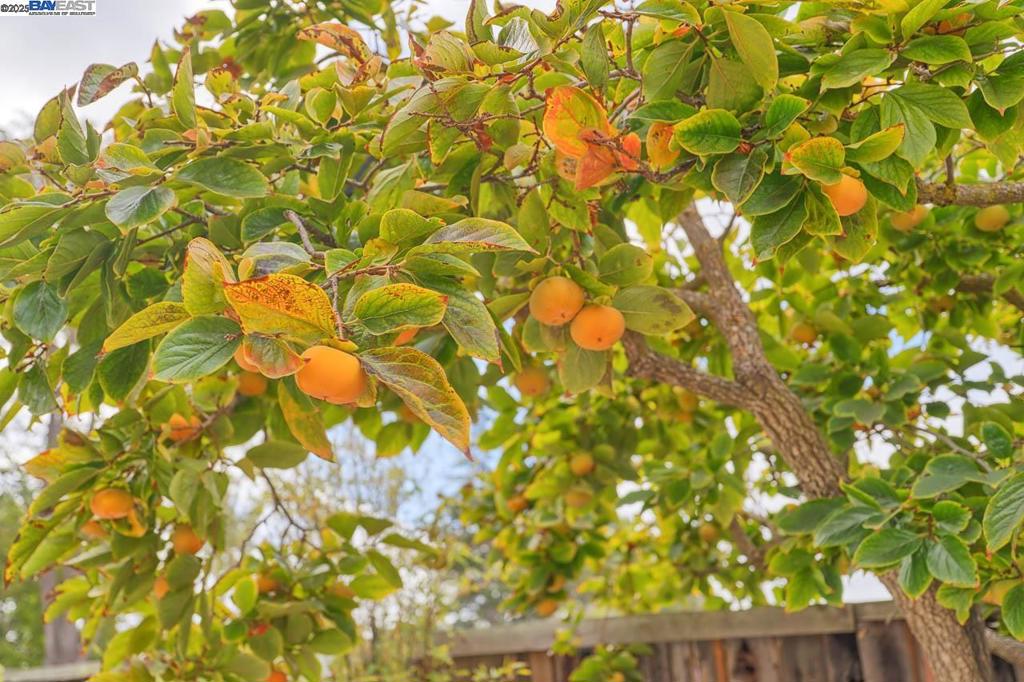 ARROWHEAD - Residential