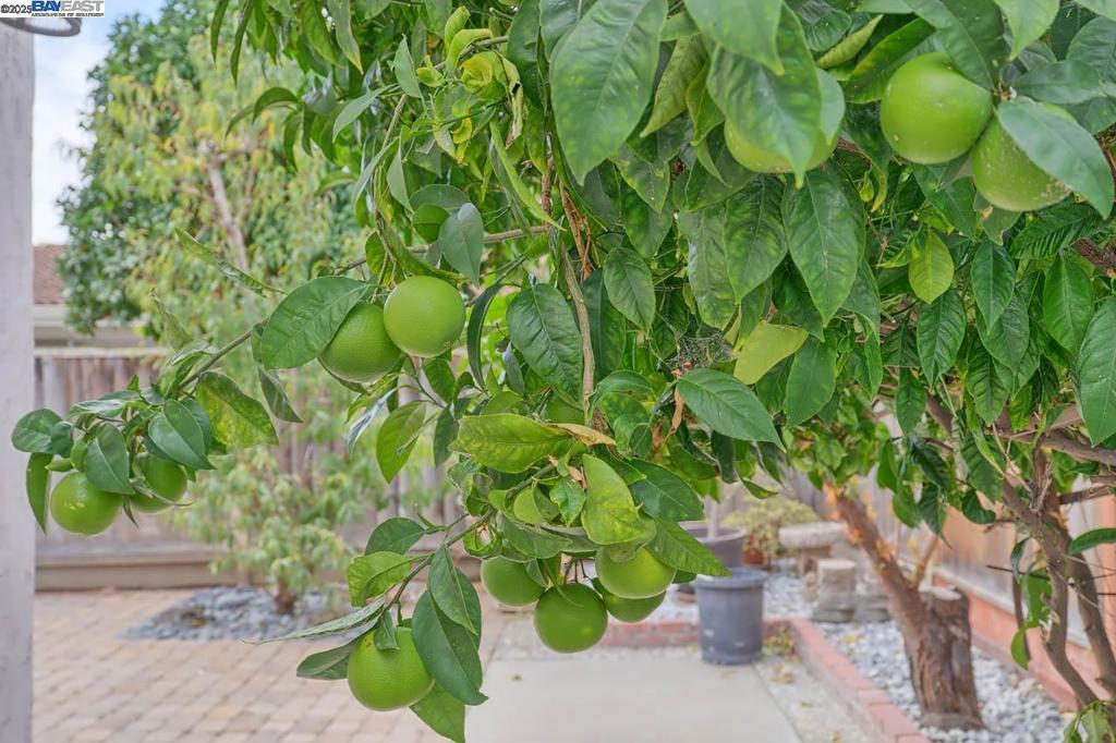 ARROWHEAD - Residential