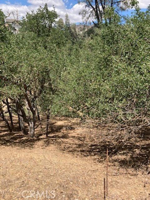 Tiny photo for 2668 Pine Ridge Road, Bradley, CA 93426 (MLS # NS25141437)