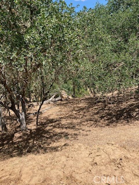 Tiny photo for 2668 Pine Ridge Road, Bradley, CA 93426 (MLS # NS25141437)