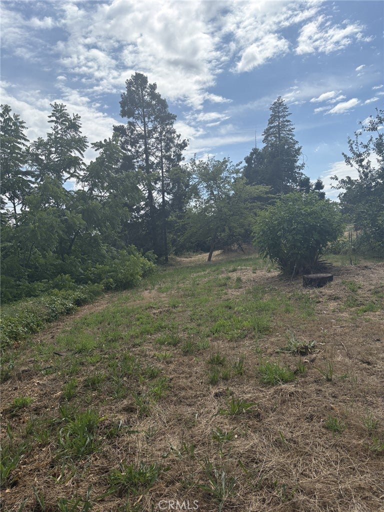 380 Oak Spring