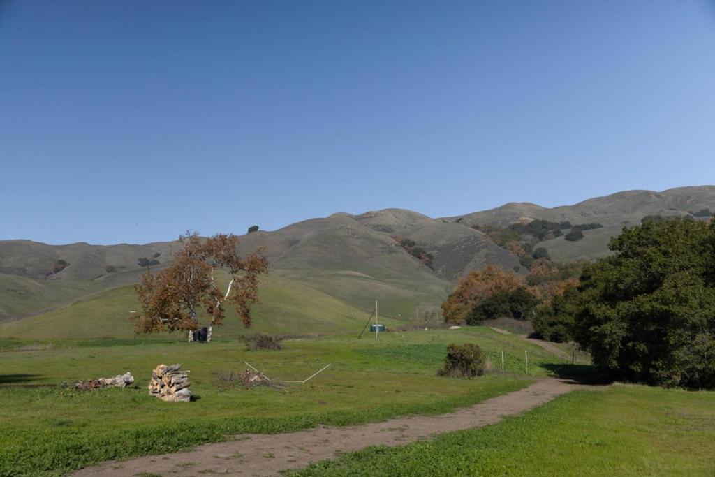 2000 Scott Creek Road