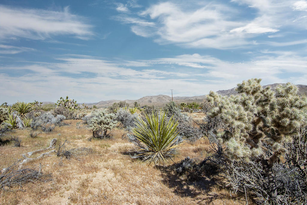 102 Saddleback Road