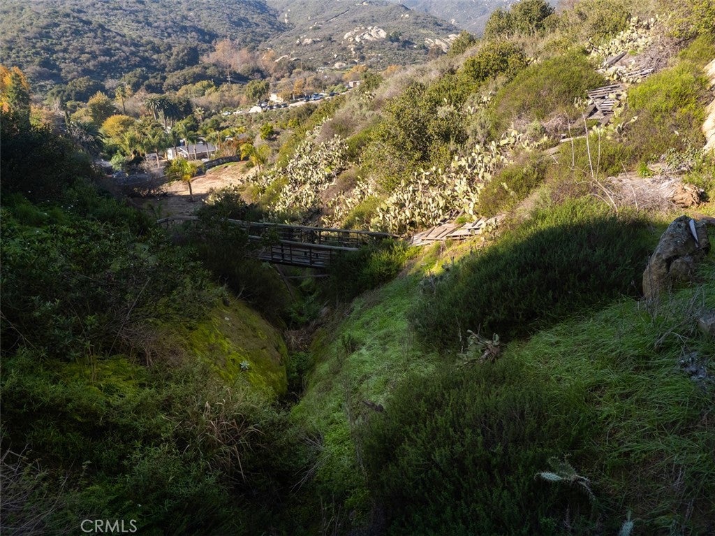 21431 Stans Lane, Laguna Beach CA 92651 - Photo 18