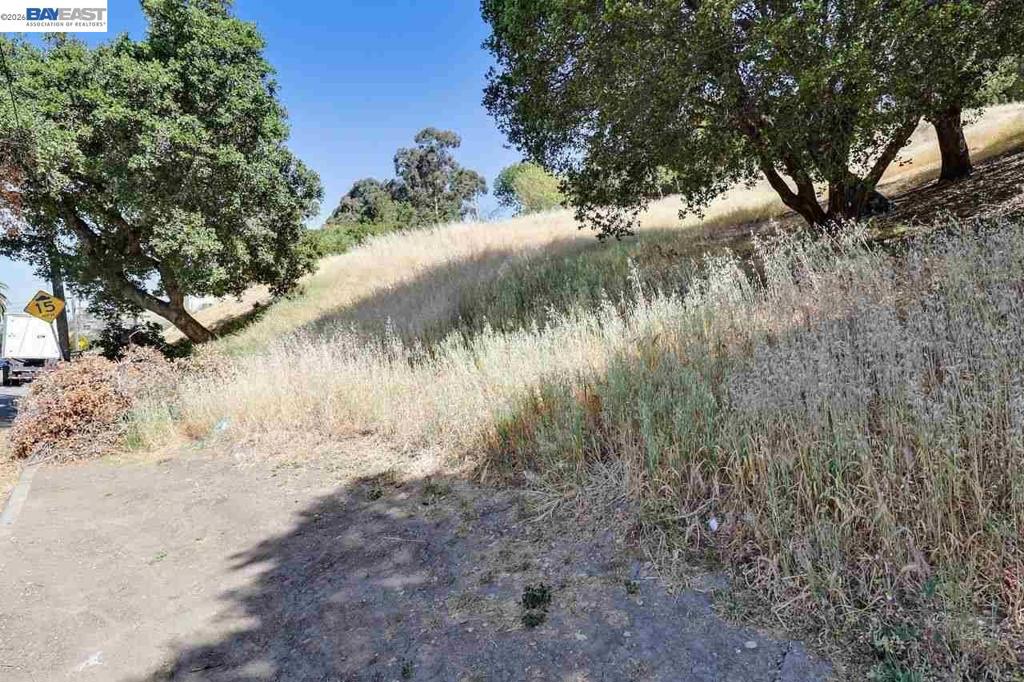Outlook Ave