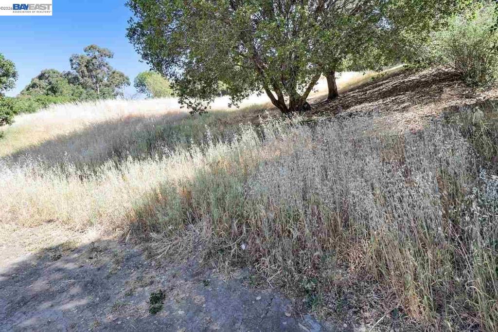 Outlook Ave