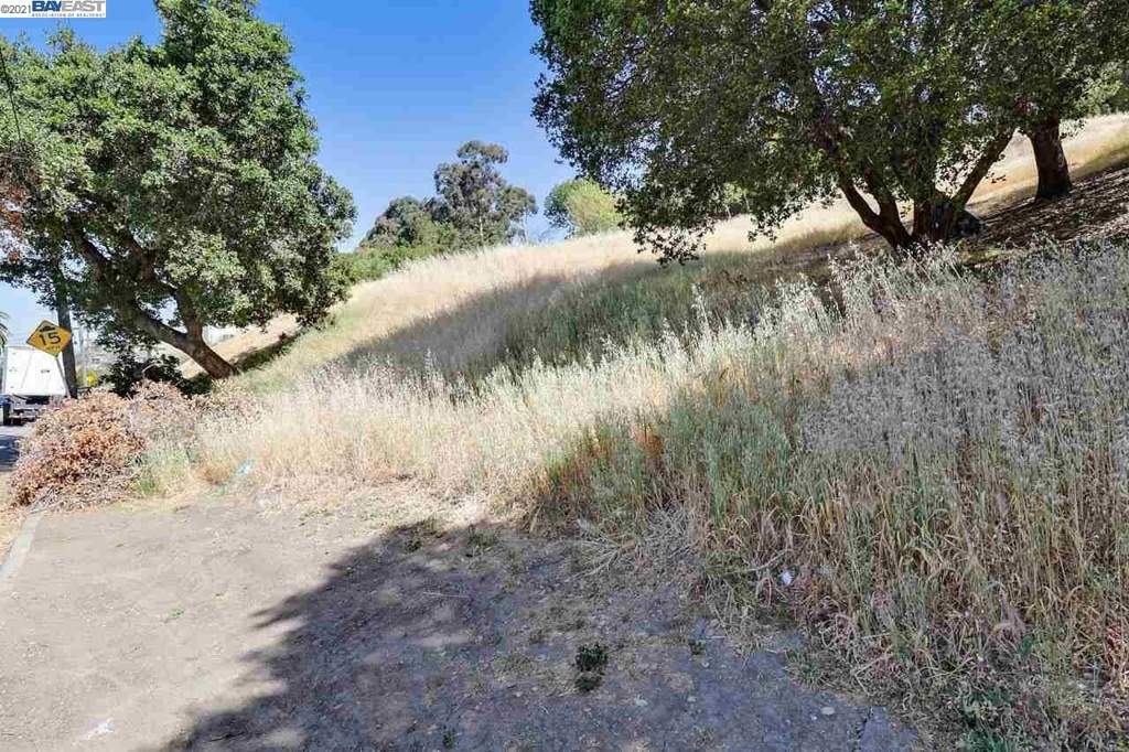 Outlook Ave