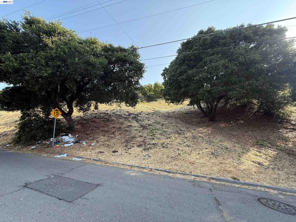 Outlook Ave
