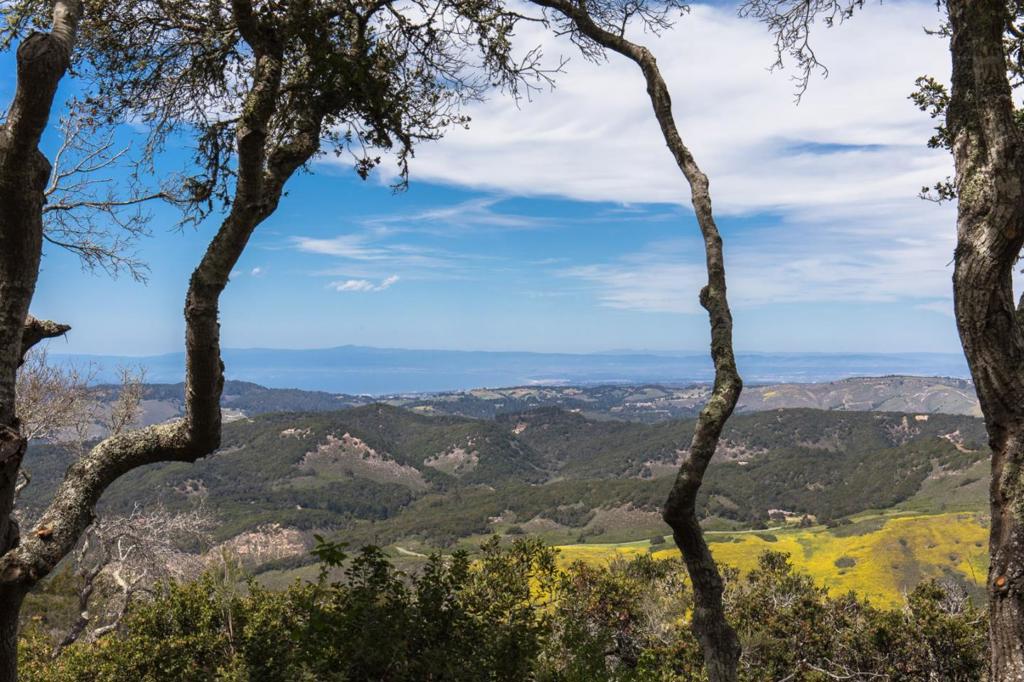 Enjoy breathtaking views of the Monterey Bay from this part-time equestrian home site conveniently located between the Santa Lucia Preserve's front gate and the Hacienda, Golf Course, Sports Complex and Equestrian Center. Legacy oaks surround this very private 19 acre property creating a tree top oasis!