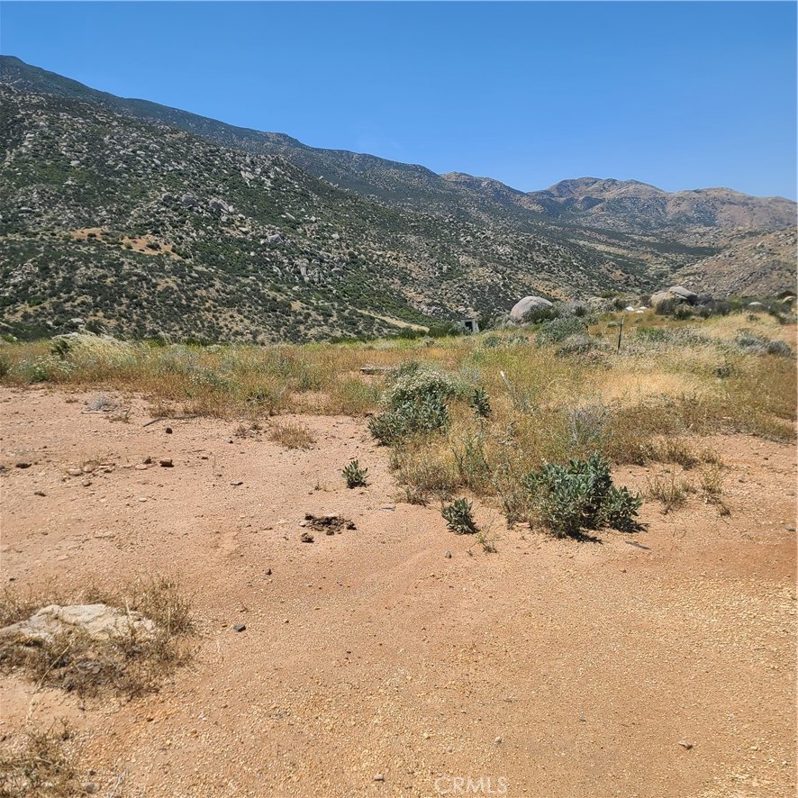 13331 Gorgonio View