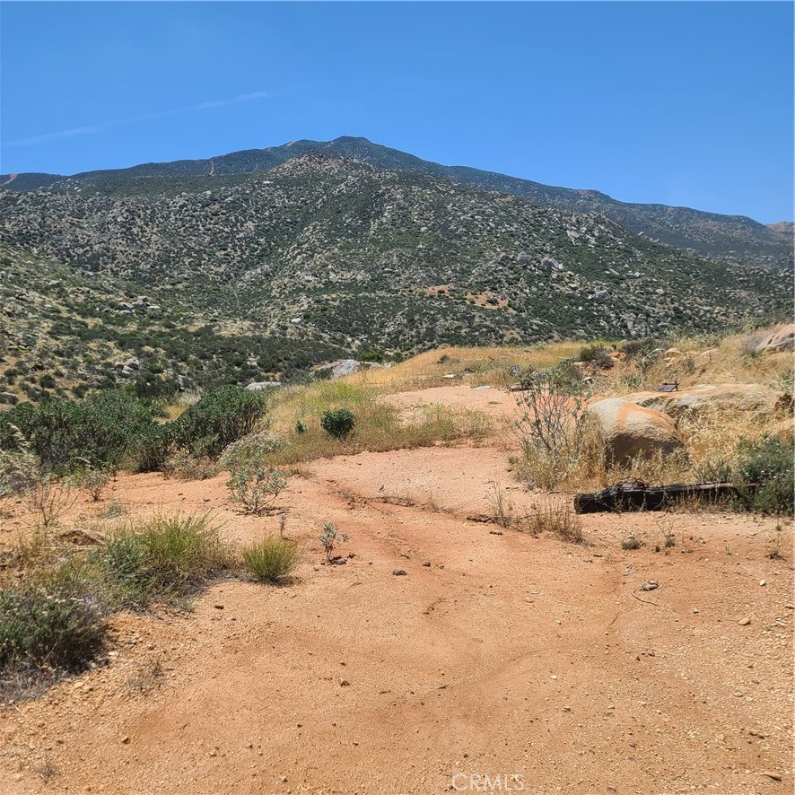 13331 Gorgonio View