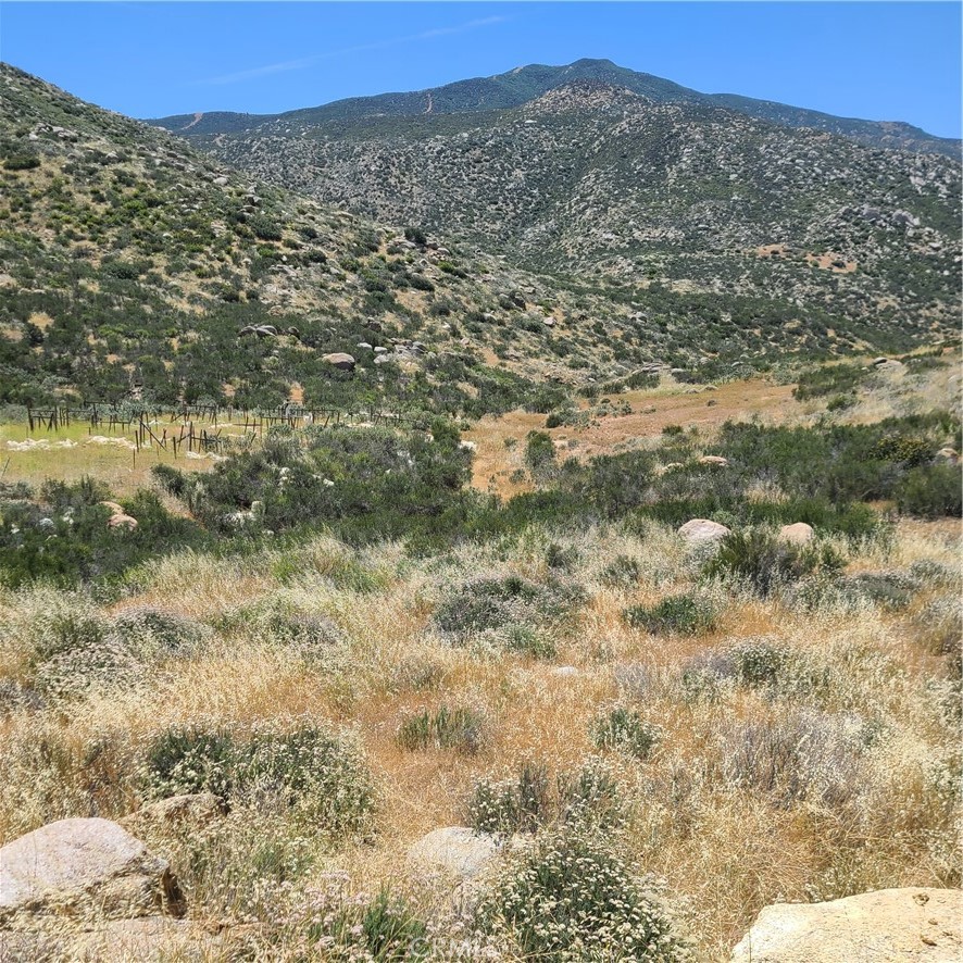 13331 Gorgonio View