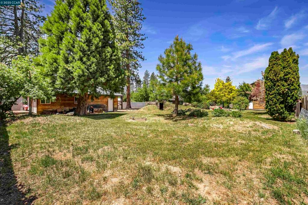 listing image 130722539261613495091