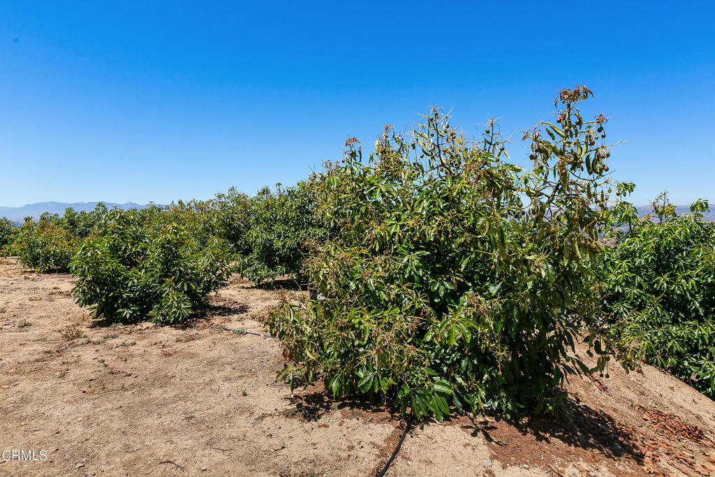 Rancho Santa Rosa 2 - 201602 - Residential