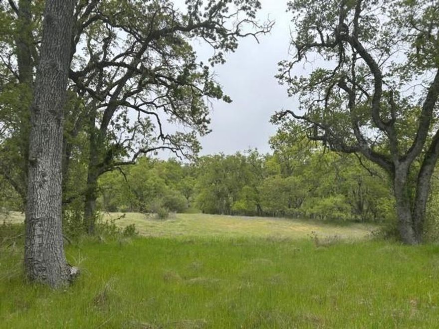 Welcome to your 40-acre parcel of untouched natural land. This expansive canvas has endless possibilities. Whether envisioned for recreation, conservation, or thoughtful development, this pristine property offers a rare opportunity in the heart of rural Carmel Valley. Surrounded by breathtaking landscapes and renowned vineyards, the regions natural beauty enhances this property's appeal. Adjacent to this land is Honey Blossom Retreat Garden, a living sanctuary committed to regenerative agriculture. This neighboring retreat produces handcrafted artisanal product lines and ecologically curated services. Using organic certified and permaculture practices, the farm serves the local community with a diversity of micro-enterprises such as a no-waste nursery, and the sustainable production of fresh herbs, produce, eggs, and honey. This parcel also borders the Hastings Natural History Reservation and conservation lots associated with the Range of the Condor Land Trust, further embedding it within a region deeply rooted in environmental stewardship. Located in an area where conservation and sustainable living are core values. Whether you are looking to preserve its natural state or create something new in harmony with the land, the possibilities here are truly limitless.