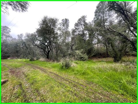 Photo of 15572 Sharpe Drive, Clearlake, CA 95422 (MLS # PW26001300)