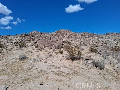 2959 Pinto Mountain Rd