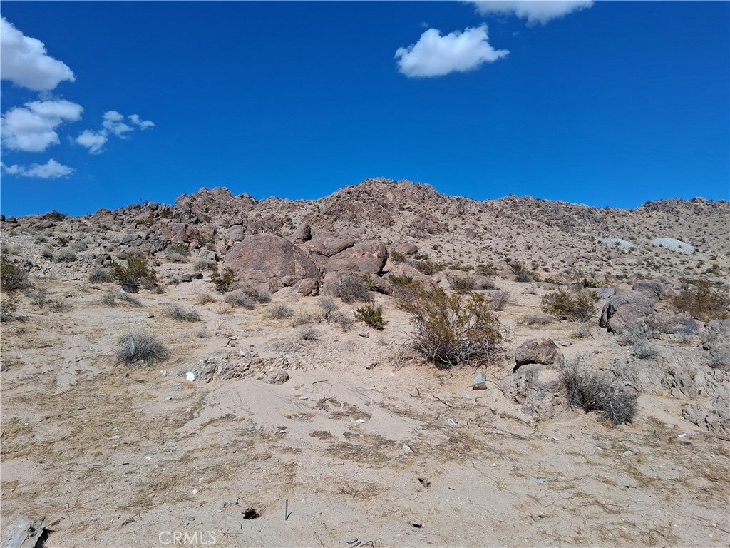 2959 Pinto Mountain Road