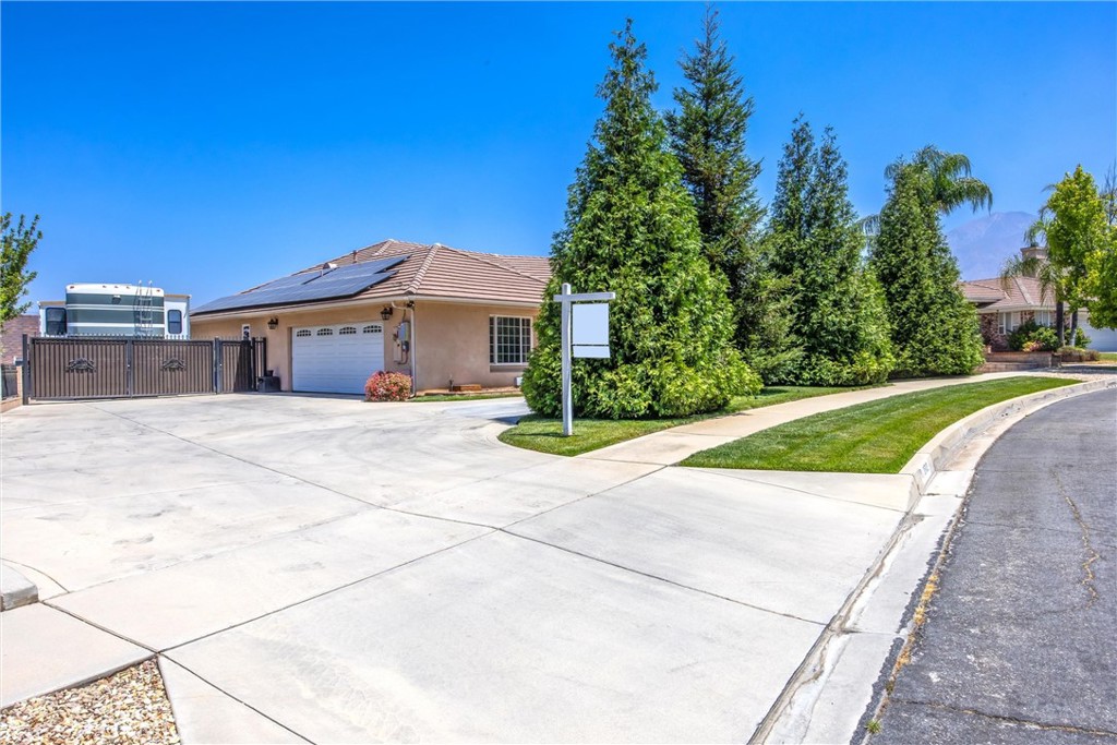 35102 Persimmon