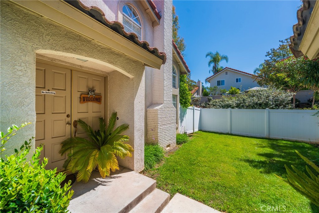 38 Carnation