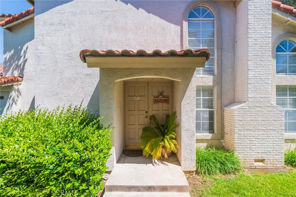 38 Carnation