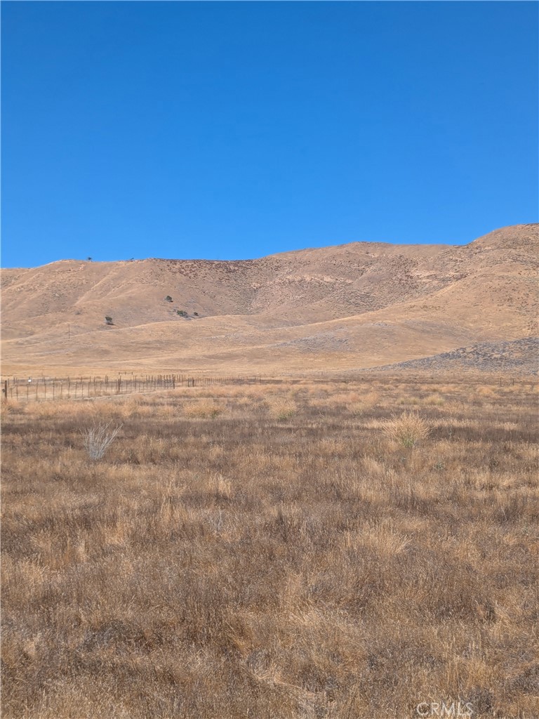 Carrizo Plains/California Valley(62) - Land