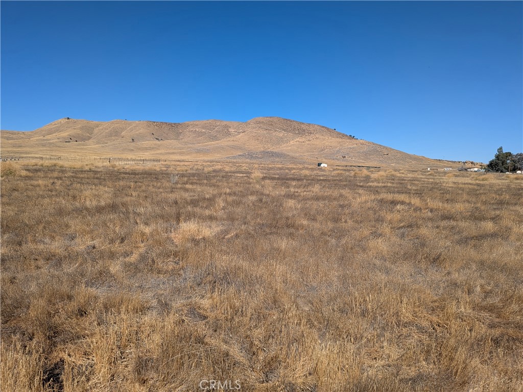 Carrizo Plains/California Valley(62) - Land
