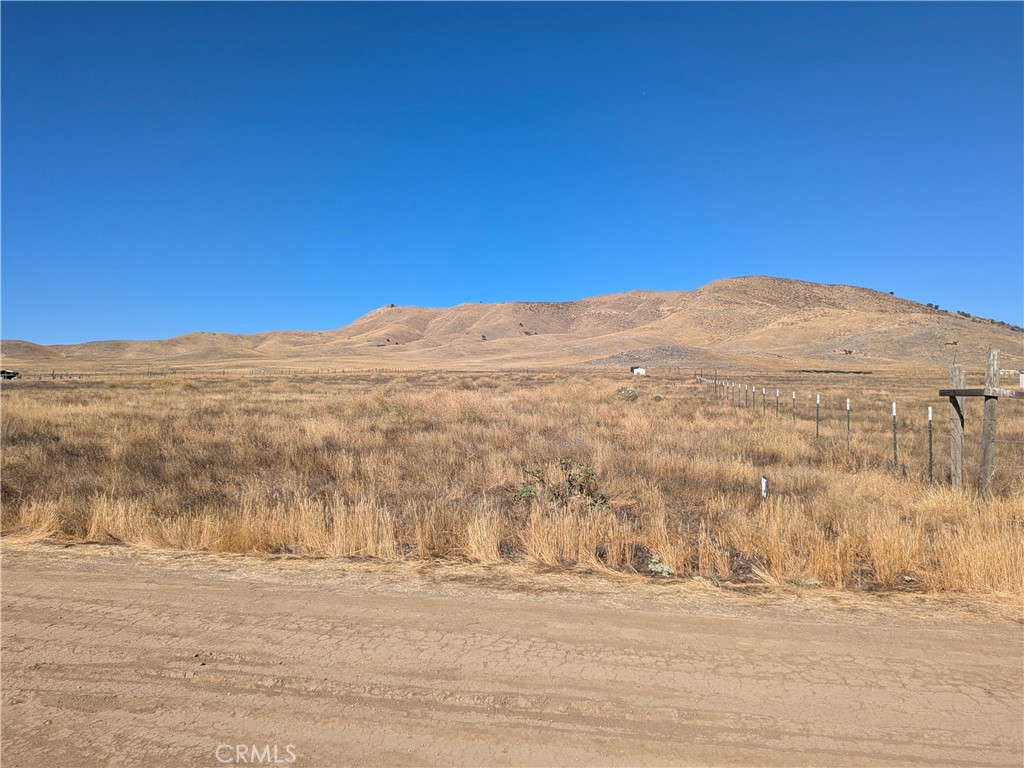 Carrizo Plains/California Valley(62) - Land