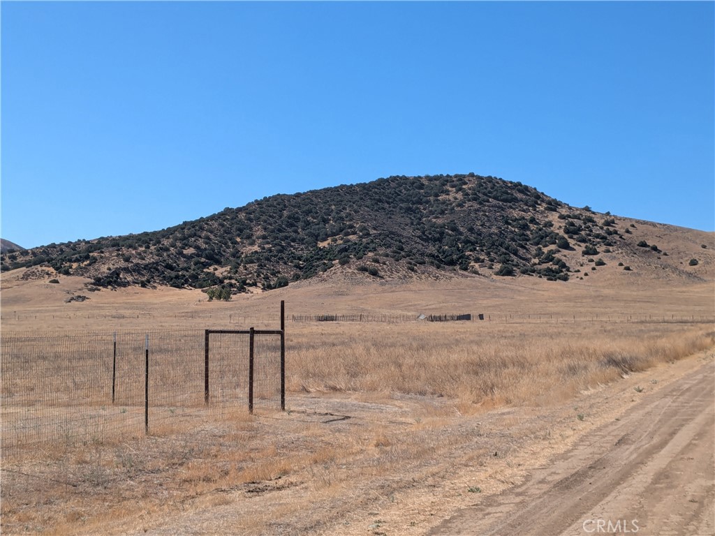 Carrizo Plains/California Valley(62) - Land