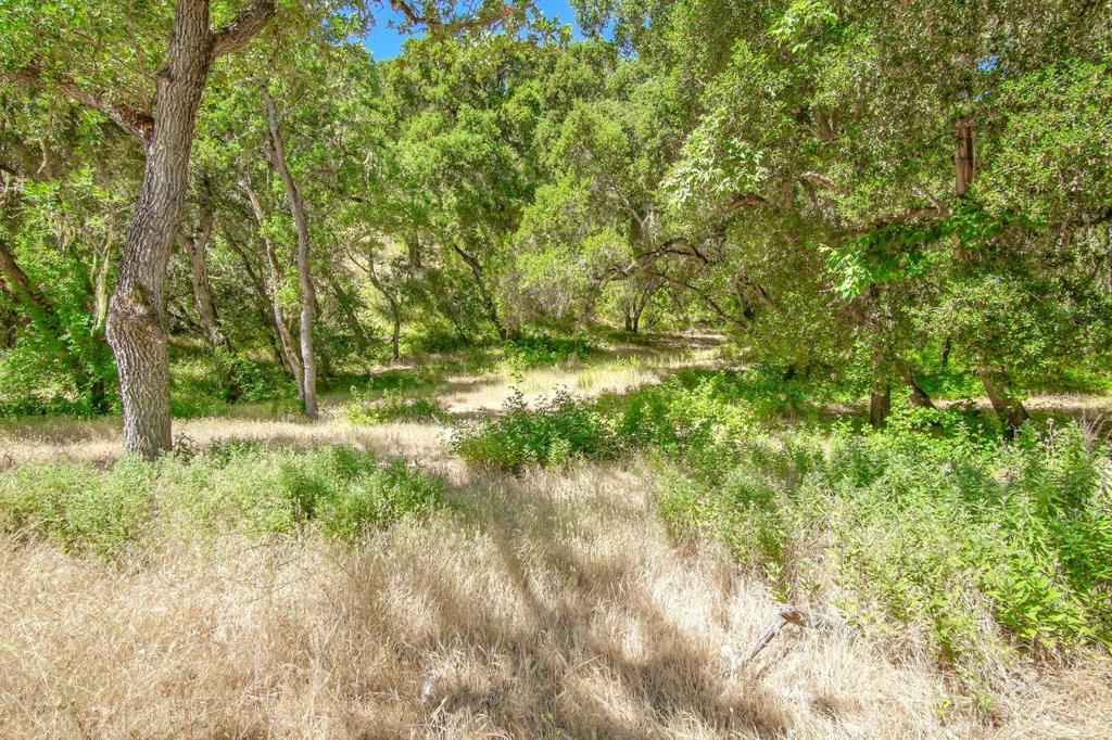 Creek Ranch, 36000 Carmel Valley Road