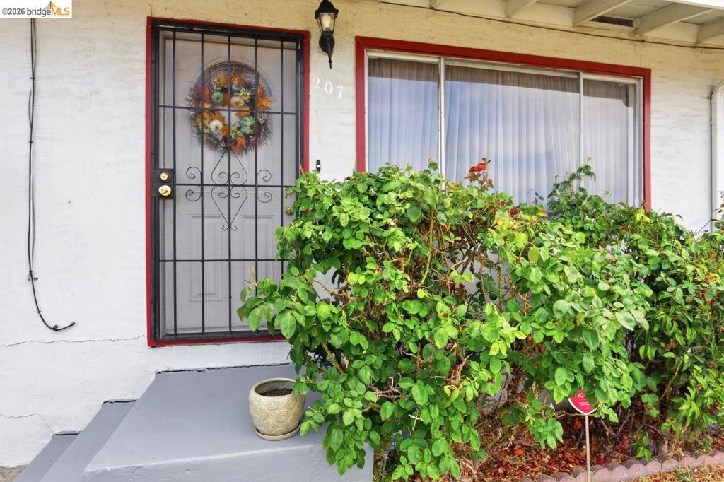 207 Holly St.