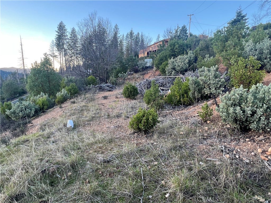 16710 Starview Loop Rd