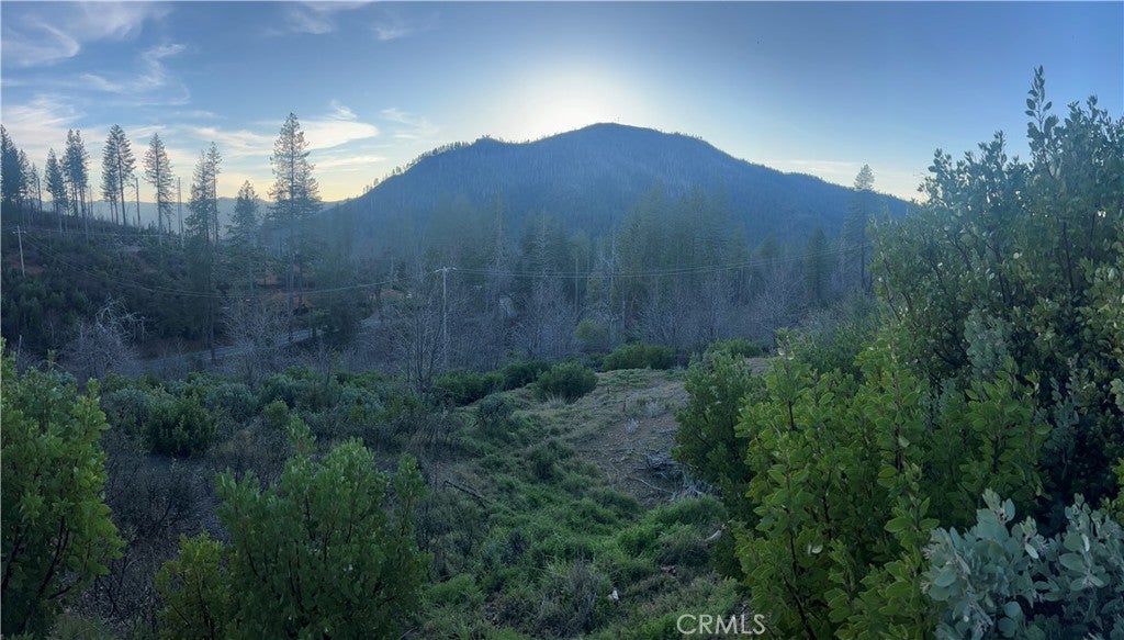 16710 Starview Loop Rd