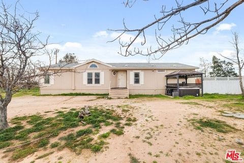 6425 Smoke Tree Road Phelan CA 92371